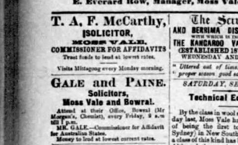 T. A. F. McCarthy solicitor advertisement from 1905